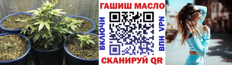 наркошоп  это клад  кракен зеркало  ТГК вейп с тгк  Чудово 