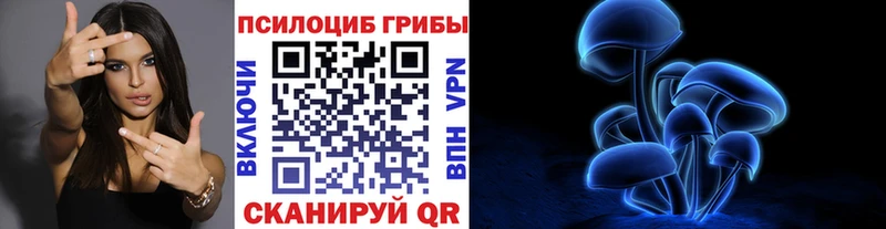 mega ссылки  Чудово  Галлюциногенные грибы Psilocybe 